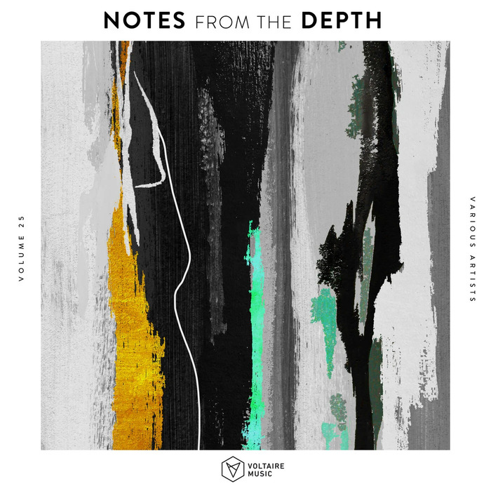 VA – Notes from the Depth, Vol. 25