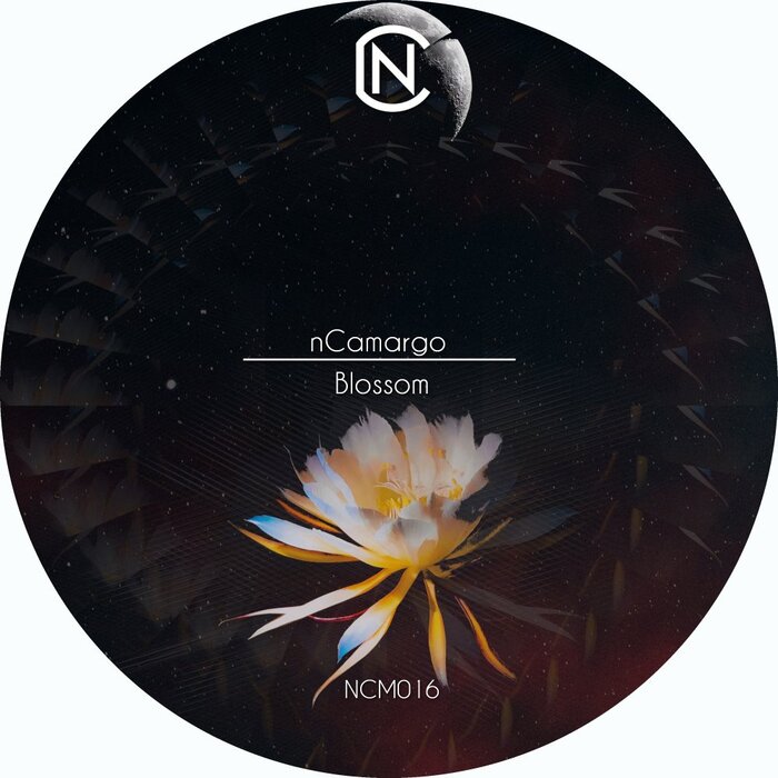 Ncamargo – Blossom