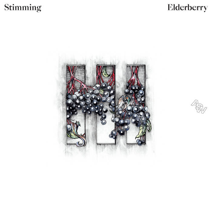 Stimming – Elderberry