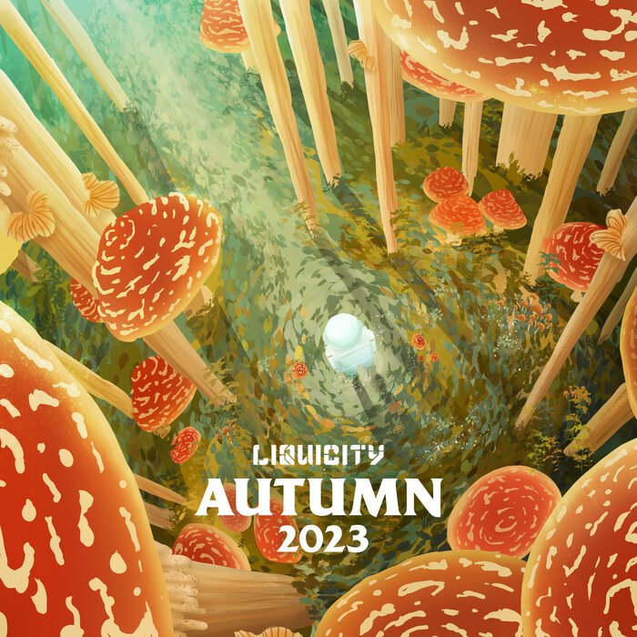 VA – Liquicity Autumn 2023 [Hi-RES]
