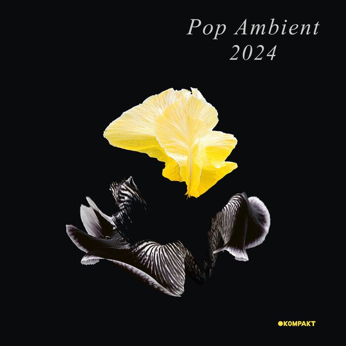 VA – Pop Ambient 2024