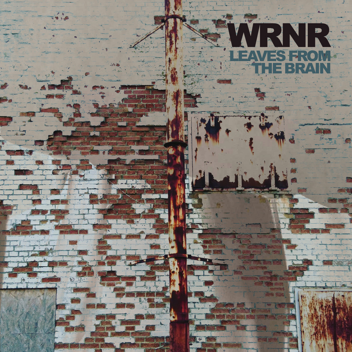 WRNR – Leaves From The Brain [Hi-RES]