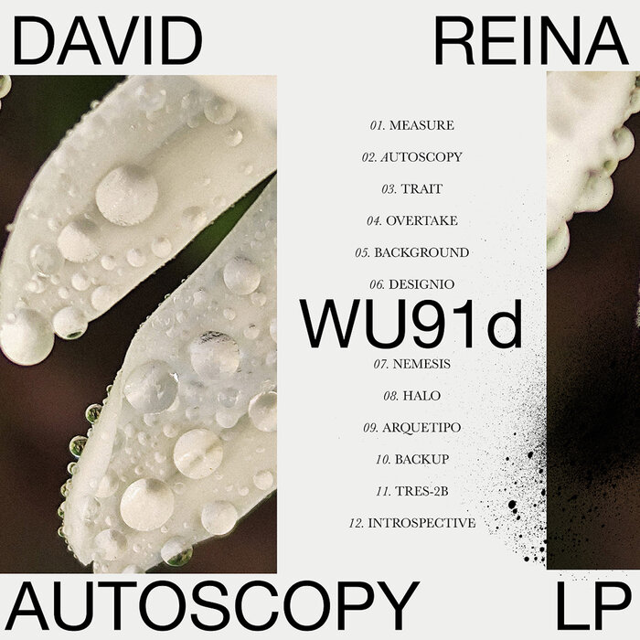 David Reina – Autoscopy LP