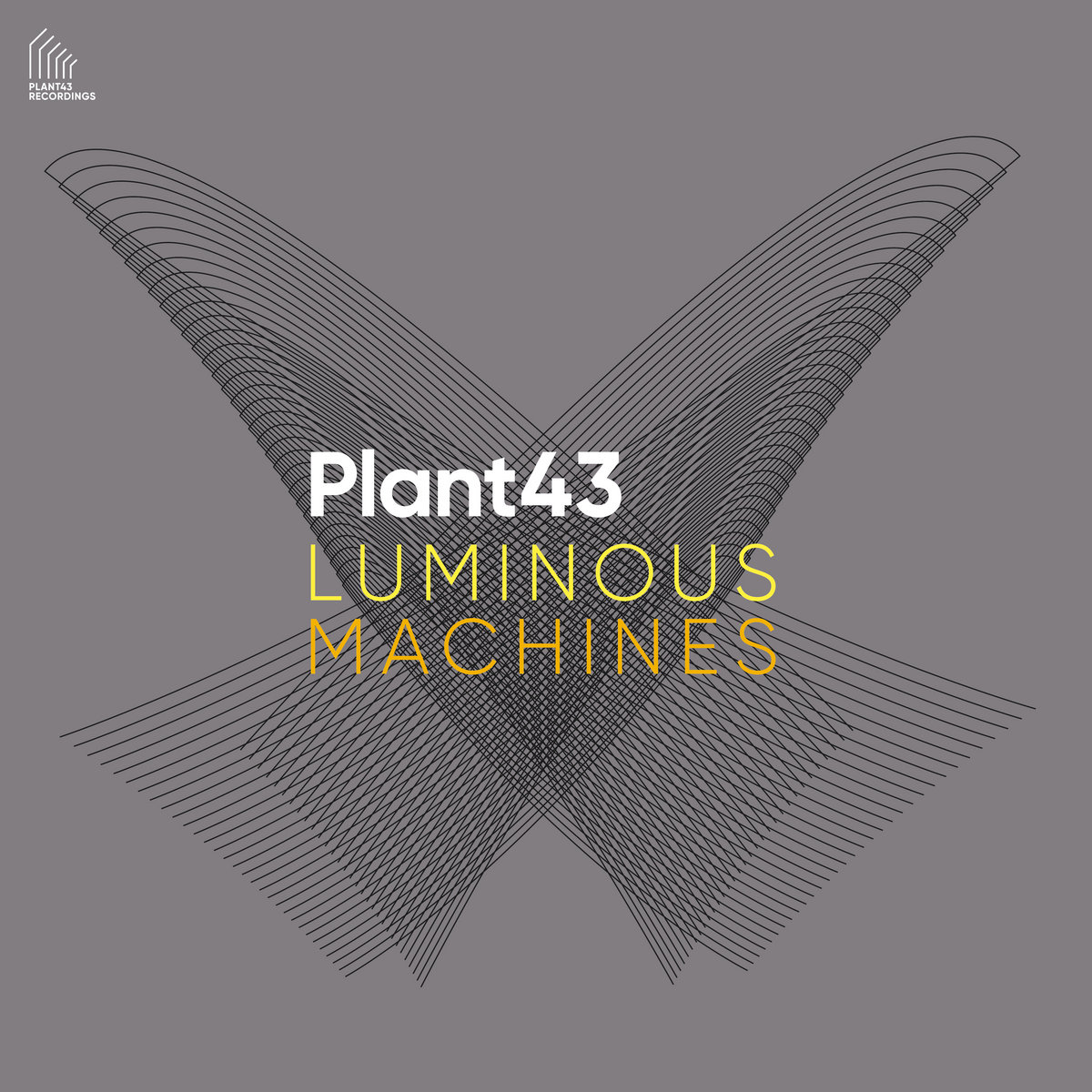 Plant43 – Luminous Machines