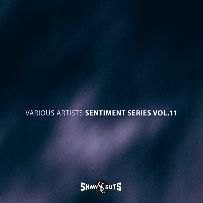VA – Sentiment Series Vol.11