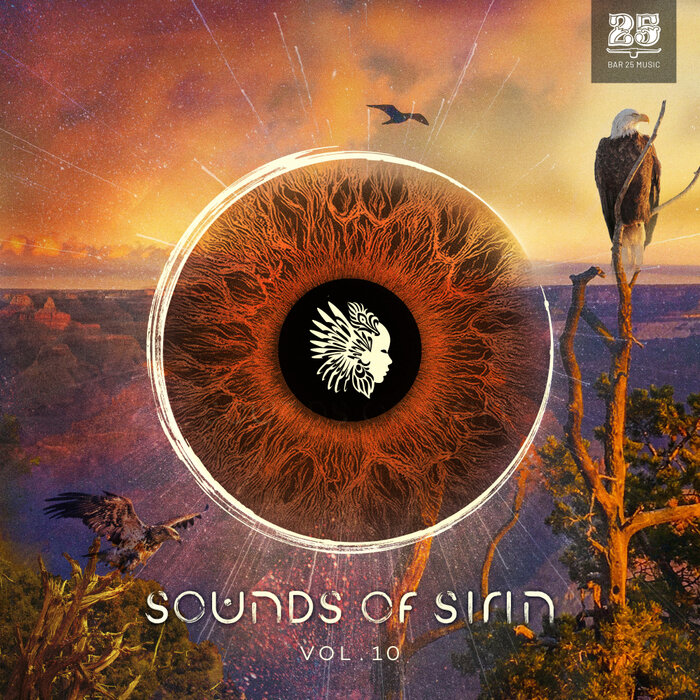 VA – Bar 25 Music Presents: Sounds Of Sirin Vol 10