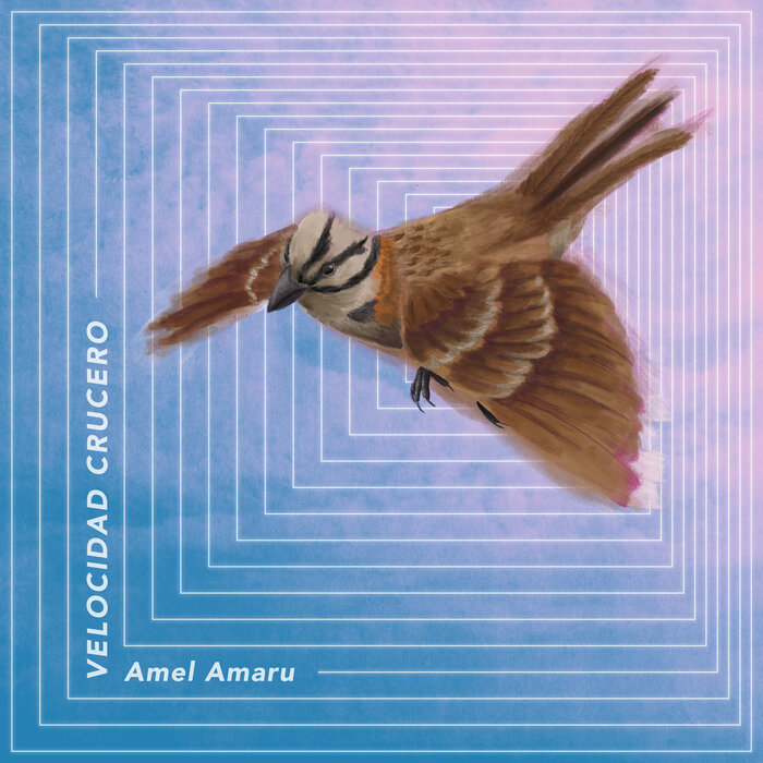 Amel Amaru – Velocidad Crucero