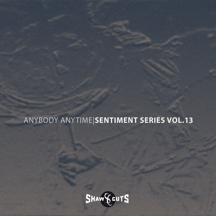 Anybody Anytime – Sentiment Series Vol.13