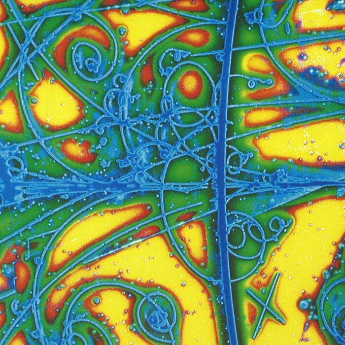 Lewyn Stan – Maere Pil