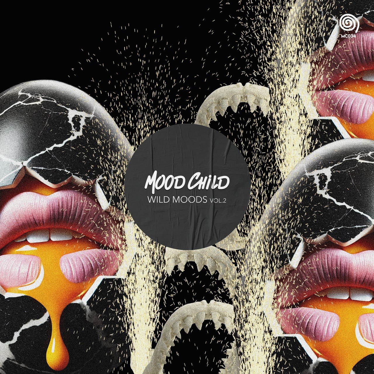 VA – Wild Moods Vol.2