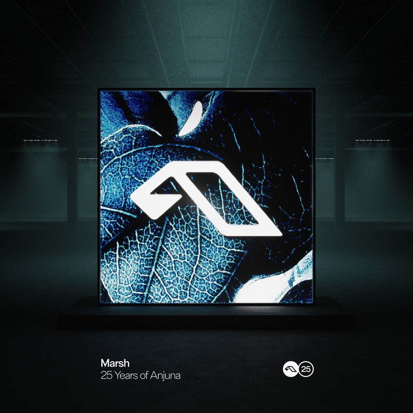 VA – 25 Years Of Anjuna Mixed By Marsh