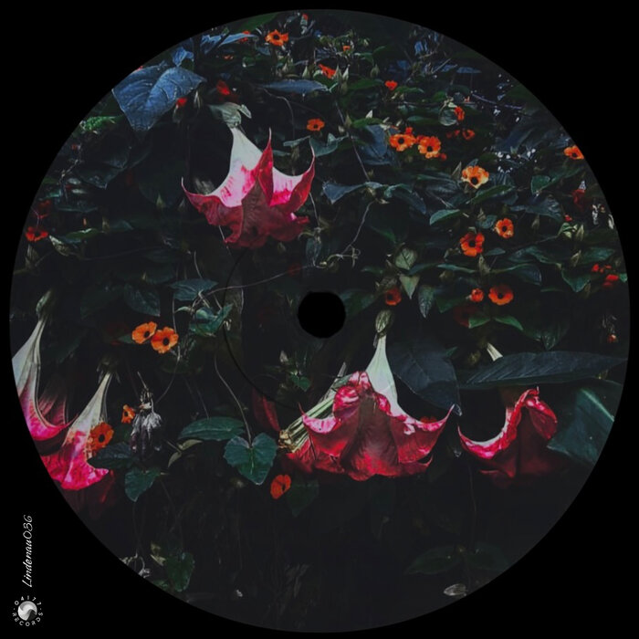 VA – 5 Years 04177 Records