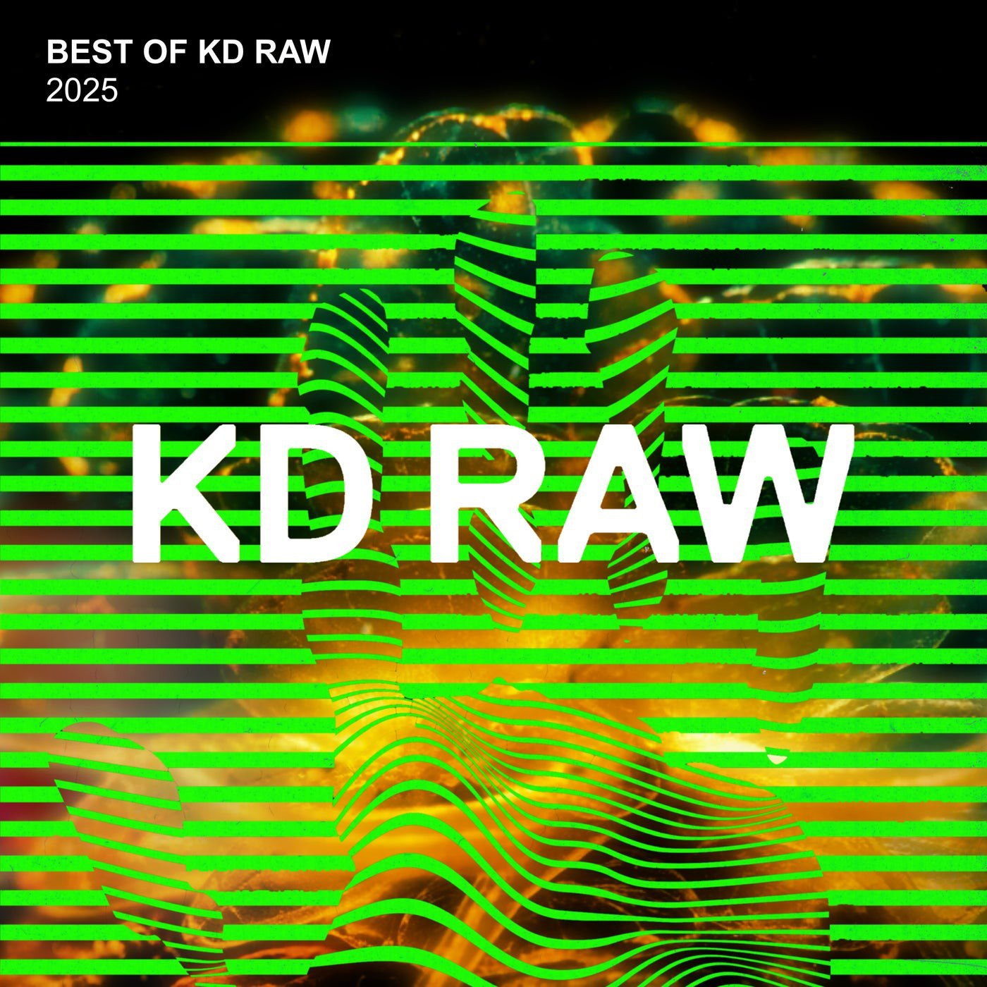 VA – Best Of KD RAW 2025