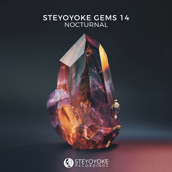 VA – Steyoyoke Gems Nocturnal 14