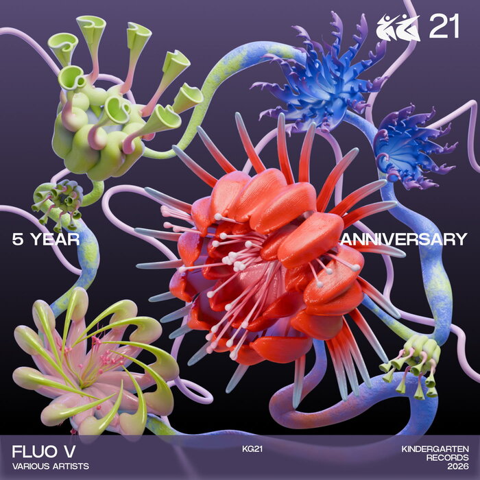 VA – Fluo V – 5 Year Anniversary