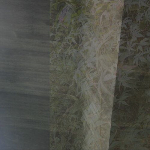 JXTPS – Space City Roller
