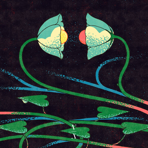 Lane 8 – Cross Pollination II