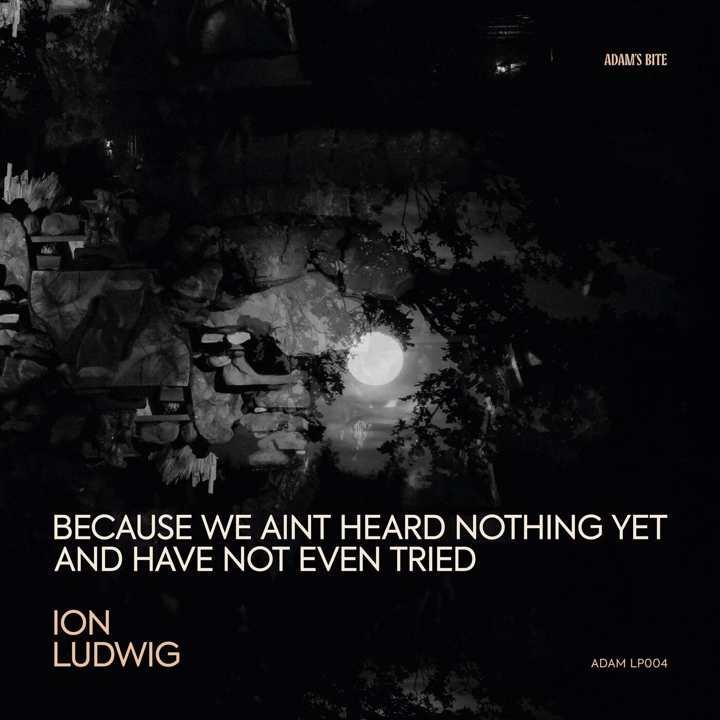 Ion Ludwig – Because We Ain’t Heard Nothing yet and Have Not Even Tried