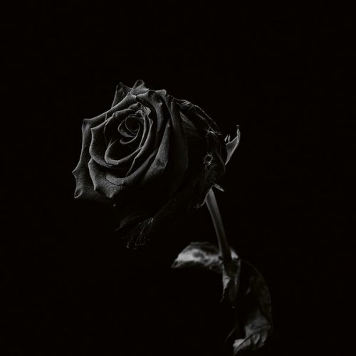 Viclan – Healing Wounds