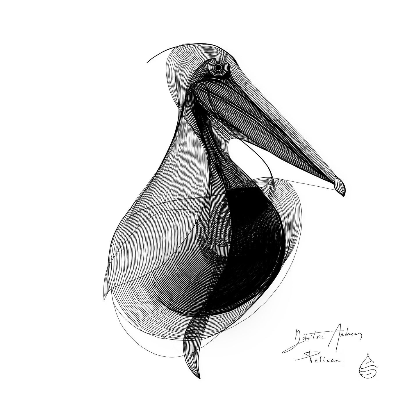 Dimitri Andreas – Pelican