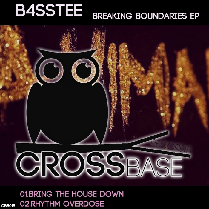 B4sstee – Breaking Boundaries EP