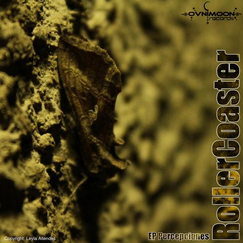 Rollercoaster – Persepciones