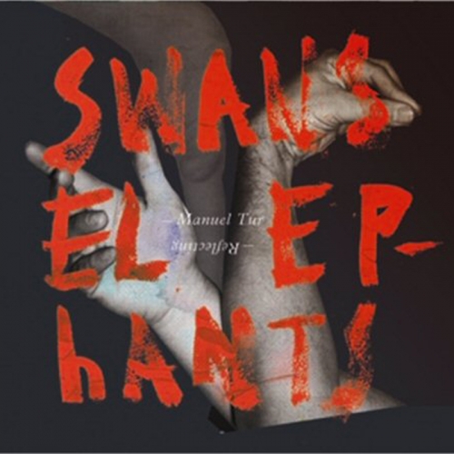 Manuel Tur – Swans Reflecting Elephants