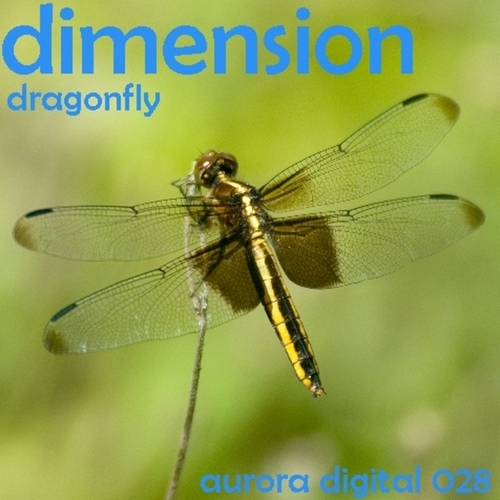 Dimension – Dragonfly