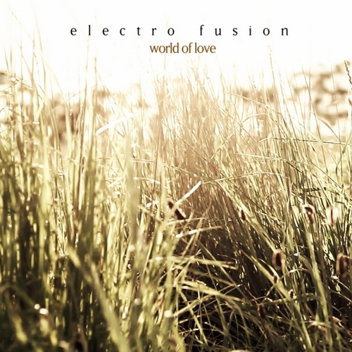 Electro Fusion – World Of Love