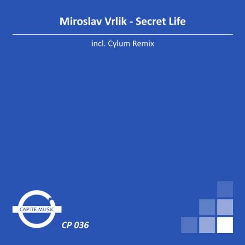 Miroslav Vrlik – Secret Life