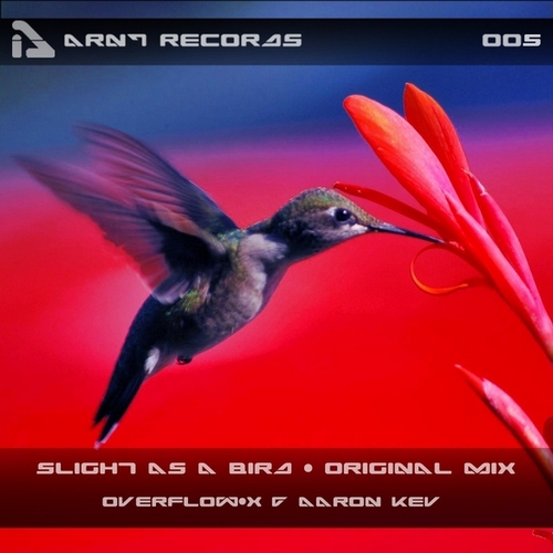 Aaron Kev – Slight As A Bird