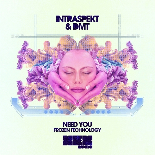 DMT & Intraspekt – Need You / Frozen Technology