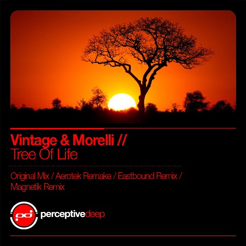 Vintage & Morelli – Tree Of Life