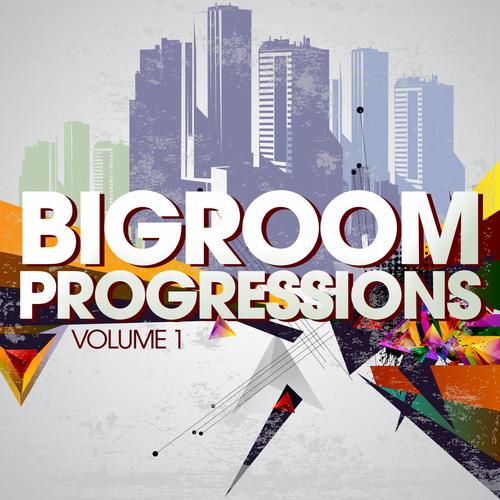 Bigroom Progressions Vol 1