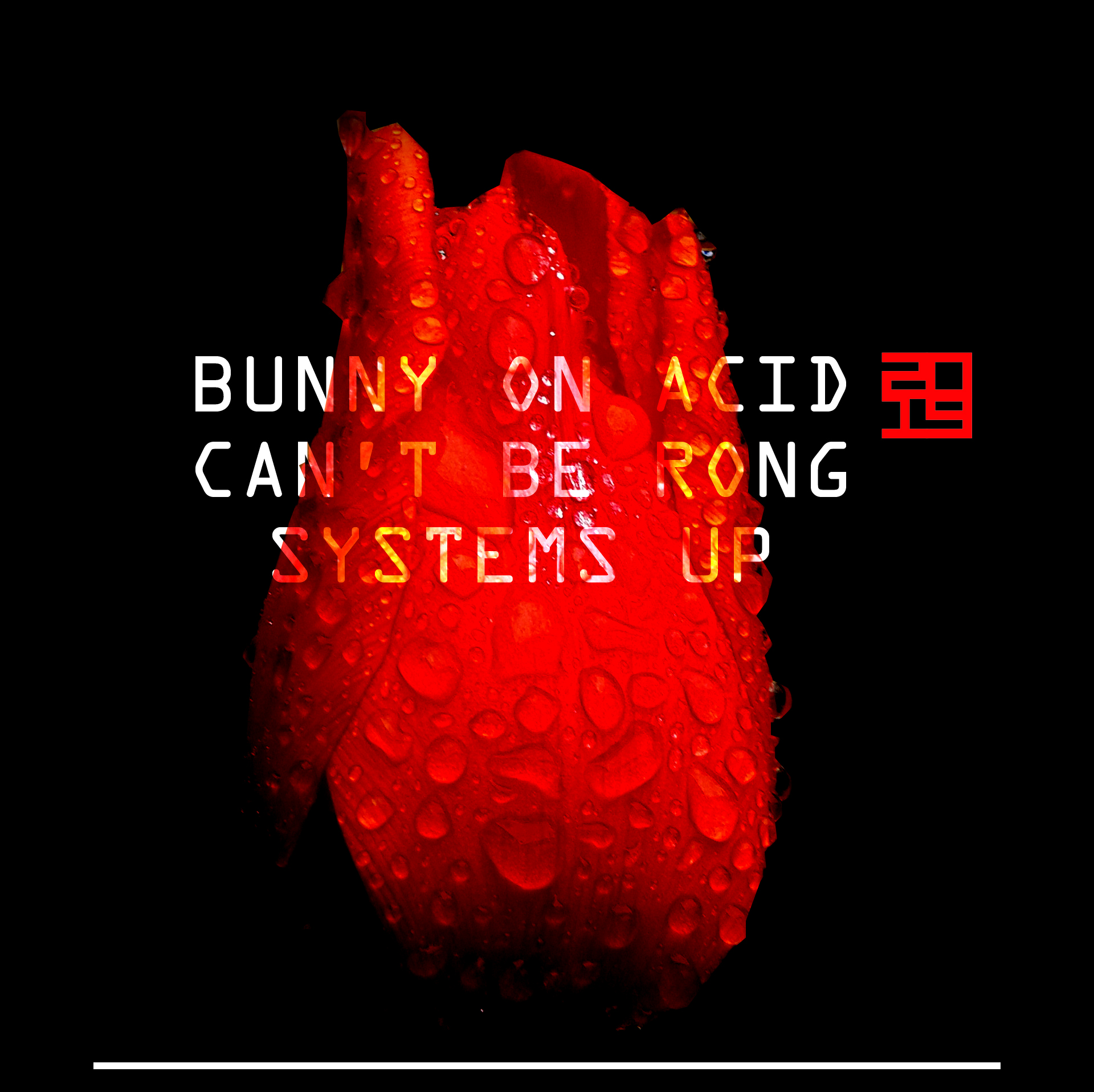 Bunny on Acid – Can’t be rong / Systems Up