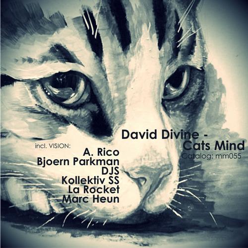 David Divine – Cats Mind