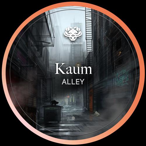 Kaum – Alley