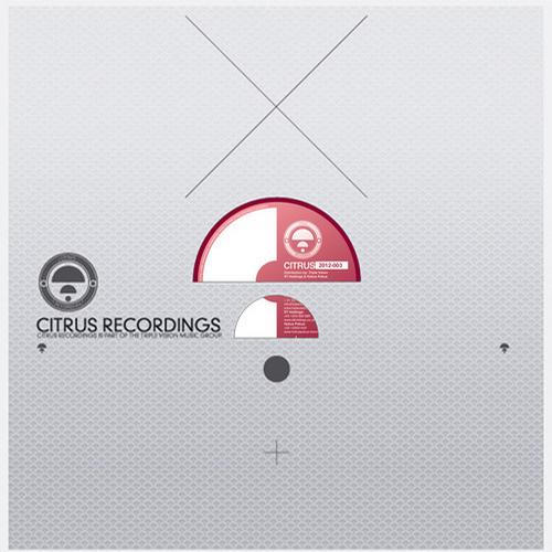 L 33 & Scinetyc – Sayanora EP