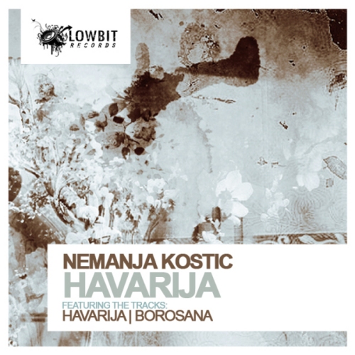 Nemanja Kostic – Havarija
