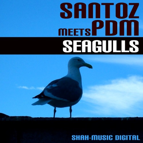 Santoz meets P.D.M. – Seagulls