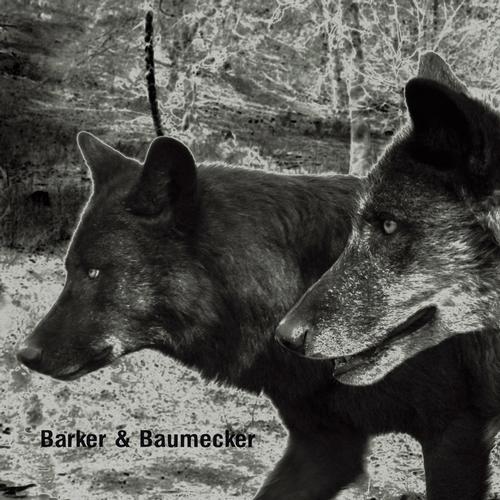 Barker & Baumecker – Transsektoral