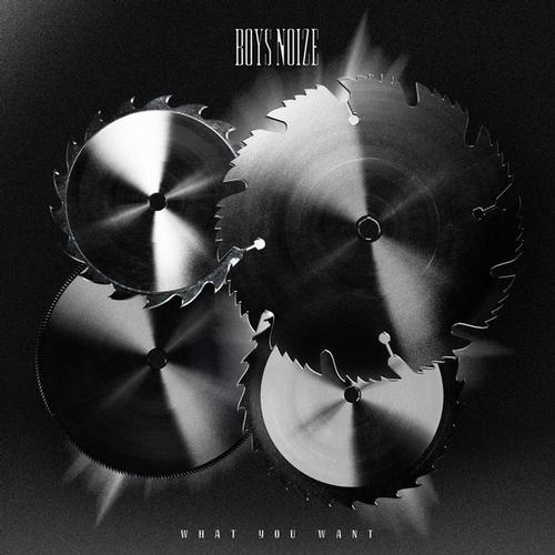 Boys Noize – What You Want