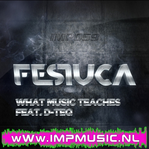 Festuca Feat. D-Teq – What Music Teaches