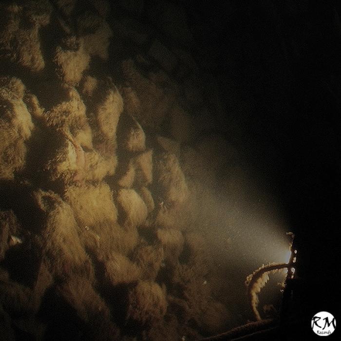 Rastok – Fear