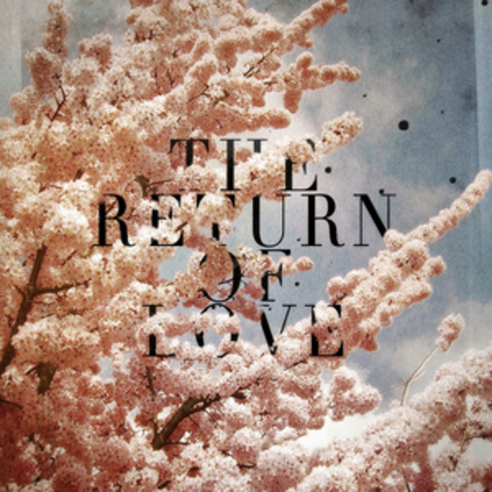 Woolfy vs. Projections – The Return of Love