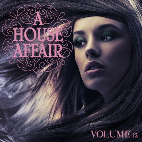 A House Affair Vol.12