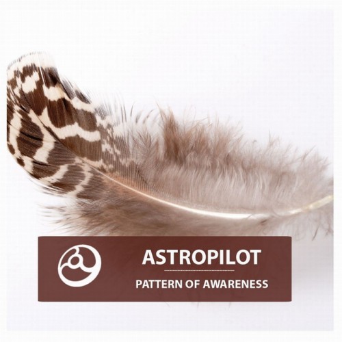 Astropilot – Pattern Of Awareness