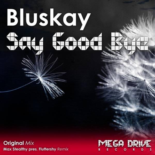 BluSkay – Say Good Bye