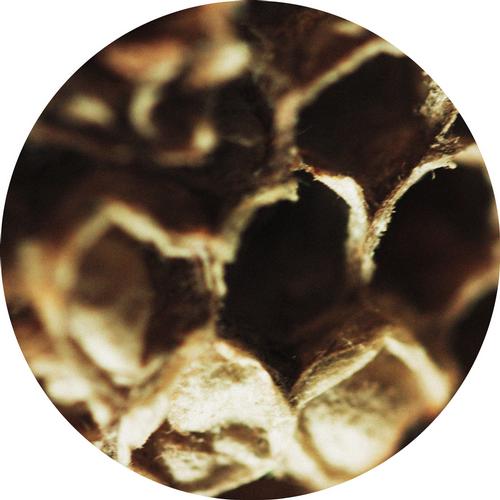 Gabriele Carasco – Out For The Afternoon EP