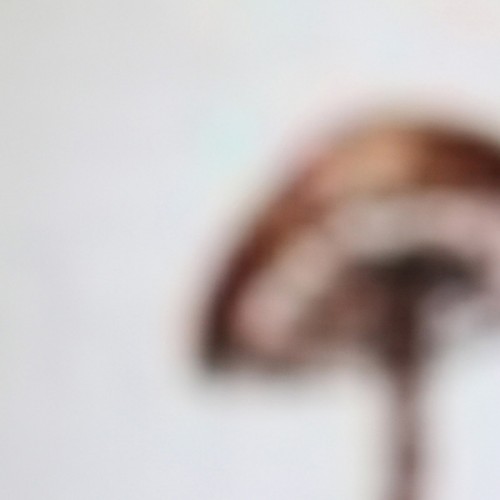Lawrence English – For/Not For John Cage